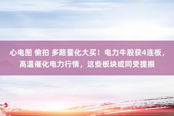 心电图 偷拍 多路量化大买！电力牛股获4连板，高温催化电力行情，这些板块或同受提振