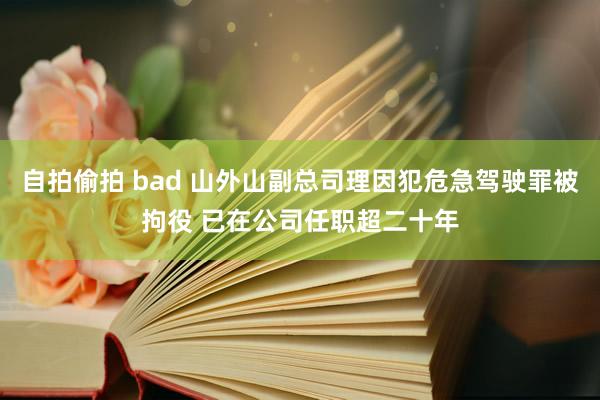 自拍偷拍 bad 山外山副总司理因犯危急驾驶罪被拘役 已在公司任职超二十年