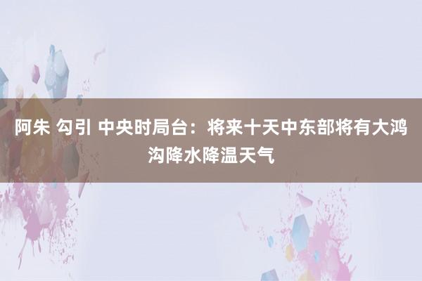 阿朱 勾引 中央时局台：将来十天中东部将有大鸿沟降水降温天气