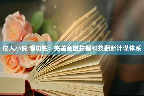 成人小说 潘功胜：完善金融撑握科技翻新计谋体系
