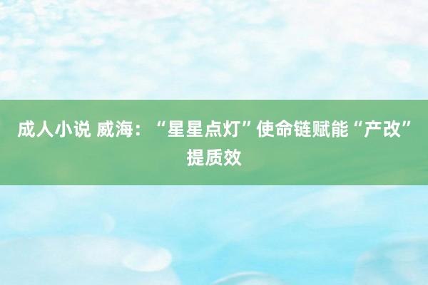成人小说 威海：“星星点灯”使命链赋能“产改”提质效