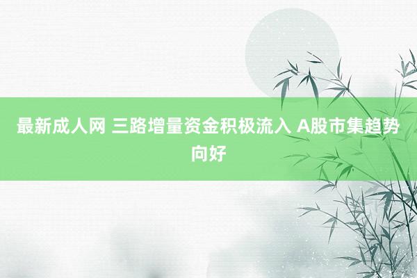 最新成人网 三路增量资金积极流入 A股市集趋势向好