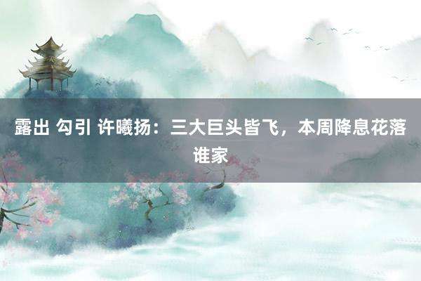 露出 勾引 许曦扬：三大巨头皆飞，本周降息花落谁家
