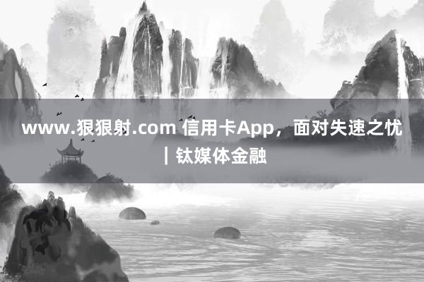 www.狠狠射.com 信用卡App，面对失速之忧｜钛媒体金融