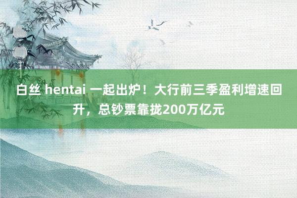 白丝 hentai 一起出炉！大行前三季盈利增速回升，总钞票靠拢200万亿元
