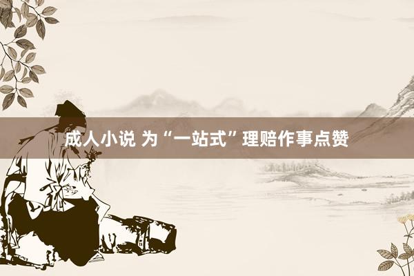 成人小说 为“一站式”理赔作事点赞