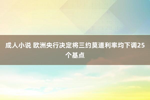 成人小说 欧洲央行决定将三约莫道利率均下调25个基点