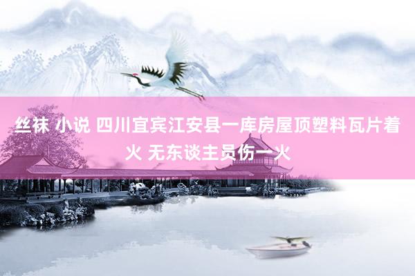 丝袜 小说 四川宜宾江安县一库房屋顶塑料瓦片着火 无东谈主员伤一火
