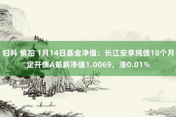 妇科 偷拍 1月14日基金净值：长江安享纯债18个月定开债A最新净值1.0069，涨0.01%