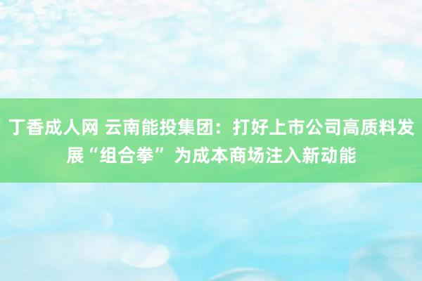 丁香成人网 云南能投集团：打好上市公司高质料发展“组合拳” 为成本商场注入新动能