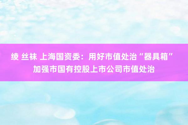绫 丝袜 上海国资委：用好市值处治“器具箱” 加强市国有控股上市公司市值处治
