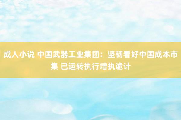 成人小说 中国武器工业集团：坚韧看好中国成本市集 已运转执行增执诡计